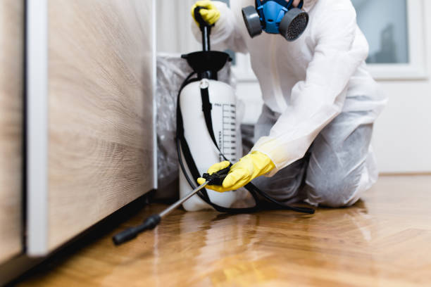 Best Residential Pest Control  in Islip Terrace, NY