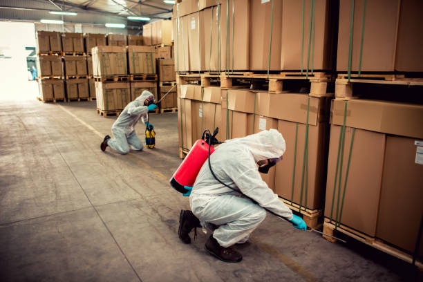 Best Pest Control Near Me  in Islip Terrace, NY