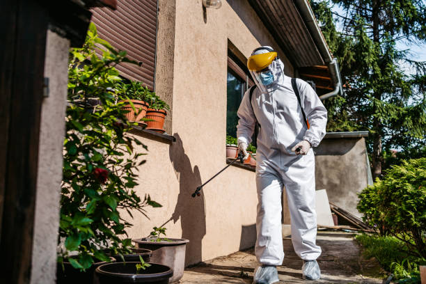 Wasp Removal Services in Islip Terrace, NY