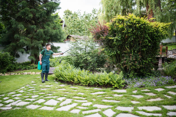 Best Pest Inspection Near Me  in Islip Terrace, NY