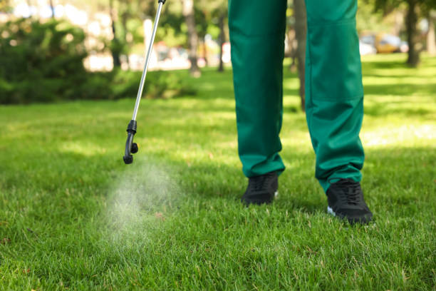 Reliable Islip Terrace, NY Pest Control Solutions