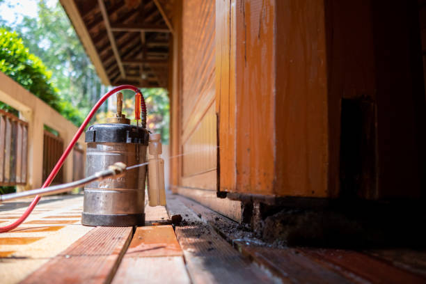 Best Pest Control Cost  in Islip Terrace, NY