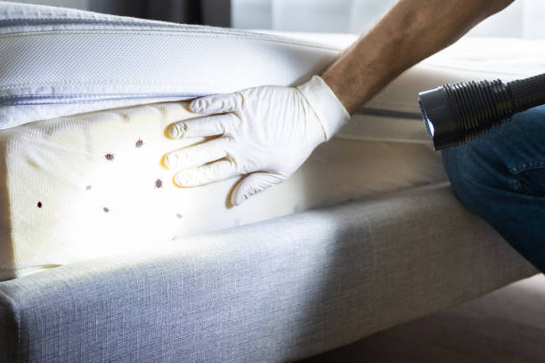Best Wildlife Control Services  in Islip Terrace, NY