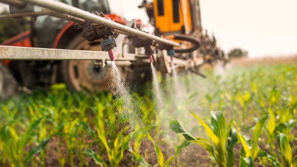 Best Mosquito Control Services  in Islip Terrace, NY